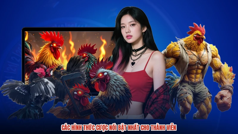 Các hình thức cược nổi bật nhất cho thành viên
