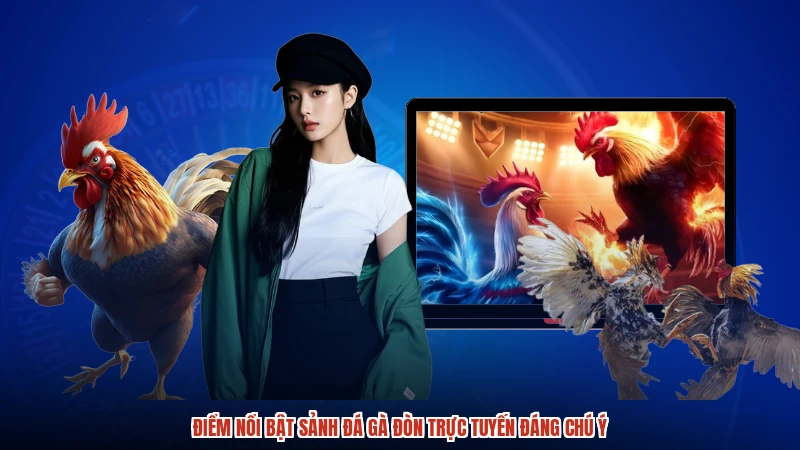 Điểm nổi bật sảnh đá gà đòn trực tuyến đáng chú ý