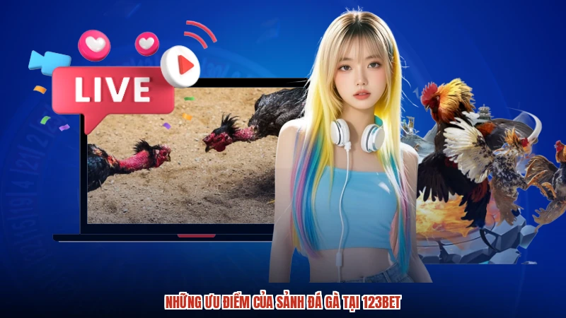Những ưu điểm của sảnh đá gà tại 123BET