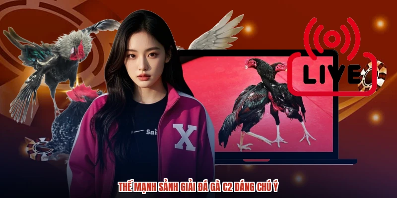 Thế mạnh sảnh giải đá gà C2 đáng chú ý