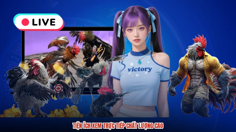 Tiện ích xem trực tiếp chất lượng cao