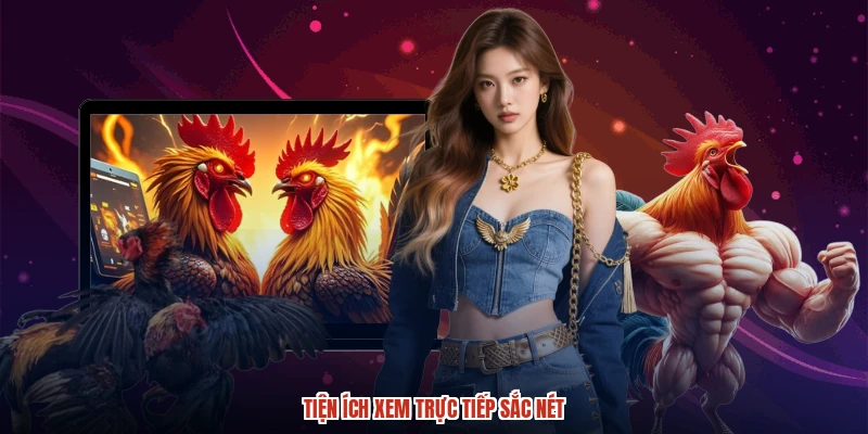 Tiện ích xem trực tiếp sắc nét