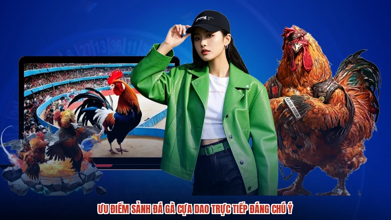 Ưu điểm sảnh đá gà cựa dao trực tiếp đáng chú ý